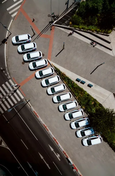 toyota-promo-sfz-podpis