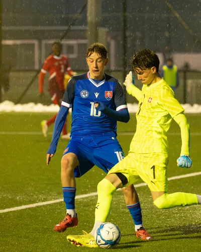 zahradnik oleg proti Emch Yanis.jpg