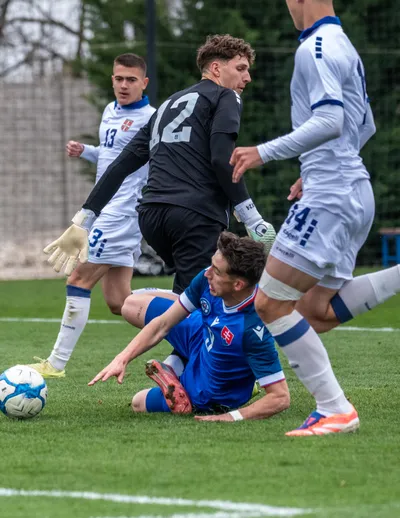 Feher proti Petricovi brankarovi.jpg