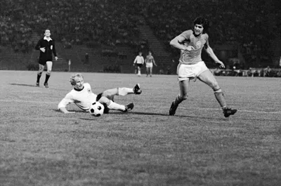 7 - dobias vogts.jpg