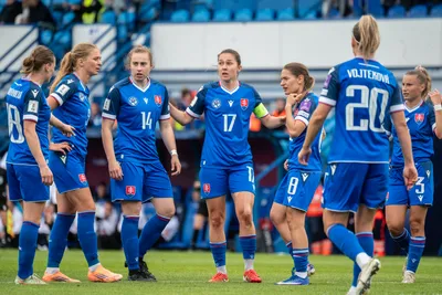 skorvankova matavkova zemberyova mikolajova fabova retkesova.jpg