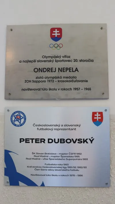 TABULE  NEPELA A DUBOVSKY.jpg