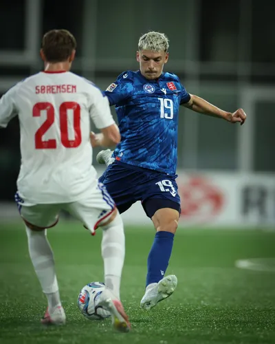faeri 3.jpg