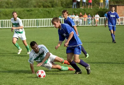 IMG_2289.jpg_A_5.jpg
