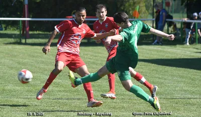 PG5_3849.jpg