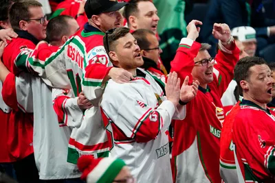 Hungary's fans celebrate after Istvan Sofron scored the opening goal during the group A match between United States and Hungary at the ice hockey world championship in Tampere, Finland, Sunday, May 14, 2023. (AP Photo/Pavel Golovkin)