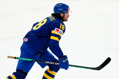 Sweden's Dennis Everberg celebrates after scoring his side's first goal during the group A match between Denmark and Sweden at the ice hockey world championship in Tampere, Finland, Monday, May 22, 2023. (AP Photo/Pavel Golovkin)