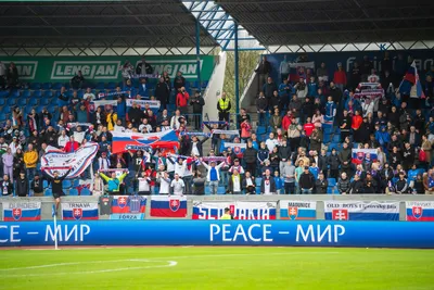 Fanúšikovia Slovenska počas zápasu kvalifikácie na EURO 2024 Island - Slovensko.