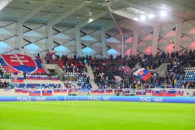 Slovenskí fanúšikovia počas zápasu Luxembursko - Slovensko v kvalifikácii EURO 2024.
