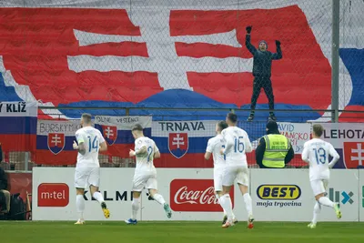 A fan cheers as Slovakia's players celebrate after scoring their sides first goal during the Euro 2024 group J qualifying soccer match between Bosnia and Herzegovina and Slovakia, at the Bilino Polje Stadium in Zenica, Bosnia and Herzegovina, Sunday, Nov. 19, 2023. (AP Photo/Armin Durgut)

- XEURO2024X