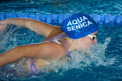 - swimming
- Slovakia Swimming Cup
- competition
- sports
- sportsphotography
- šport
- plávanie
- Šamorín
- x-bionic sphere
- XBS
- SPF
- Slovenská plavecká federácia