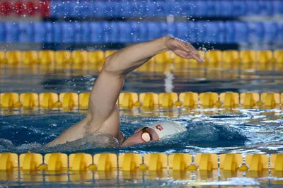 - swimming
- Slovakia Swimming Cup
- competition
- sports
- sportsphotography
- šport
- plávanie
- Šamorín
- x-bionic sphere
- XBS
- SPF
- Slovenská plavecká federácia