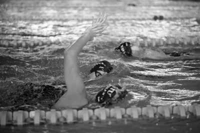 - swimming
- Slovakia Swimming Cup
- competition
- sports
- sportsphotography
- šport
- plávanie
- Šamorín
- x-bionic sphere
- XBS
- SPF
- Slovenská plavecká federácia