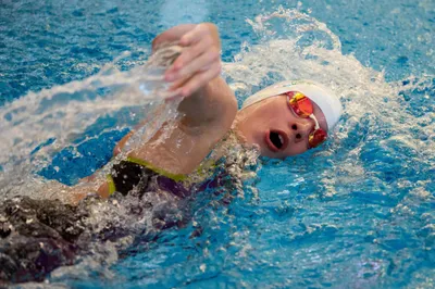 - swimming
- Slovakia Swimming Cup
- competition
- sports
- sportsphotography
- šport
- plávanie
- Šamorín
- x-bionic sphere
- XBS
- SPF
- Slovenská plavecká federácia