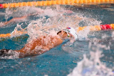 Slovakia swimming cup 2024 -2914.jpg