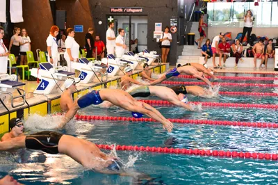 Slovakia swimming cup 2024 -3013.jpg