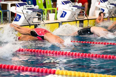 Slovakia swimming cup 2024 -3034.jpg