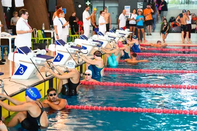 Slovakia swimming cup 2024 -3062.jpg