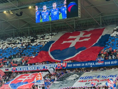 SR Futbal MS kval. A Nemecko BAX.jpg