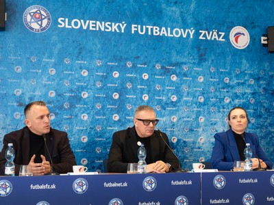 kovac kovacik schneebergerova.jpg