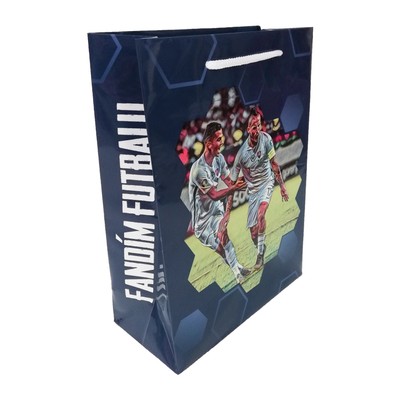 eshop/d/demisport/2019/09/papierova-taska.jpg
