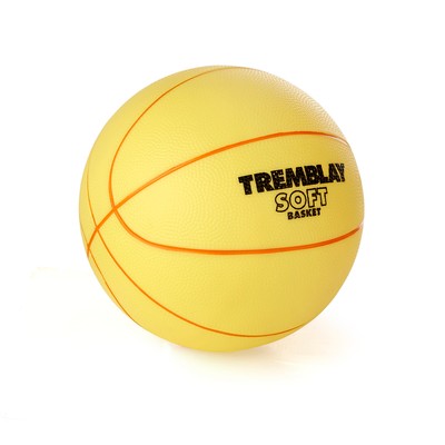 eshop/d/demisport/2020/02/basketbalova-lopta-soft-v.5.jpg