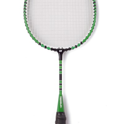 eshop/d/demisport/2020/02/bedmintonova-raketa.jpg