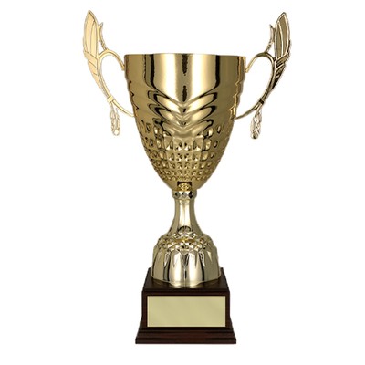 eshop/d/demisport/2020/04/sportova-trofej-pohar-3121.jpg