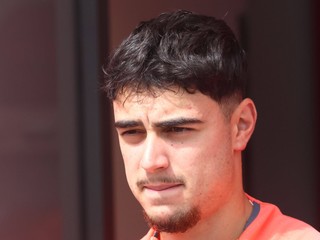 Aleksandar Pavlovič.