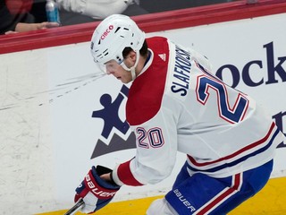 Tampa Bay Lightning vs. Montreal Canadiens: ONLINE prenos z NHL, hrajú aj Juraj Slafkovský a Erik Černák.
