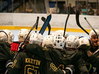 Inline hokejisti tímu Dubnica Wild Kings získali domáci titul. 