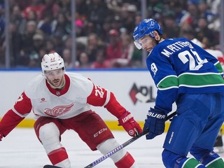 Marcus Pettersson (vpravo) a Michael Rasmussen v zápase NHL Vancouver Canucks - Detroit Red Wings.