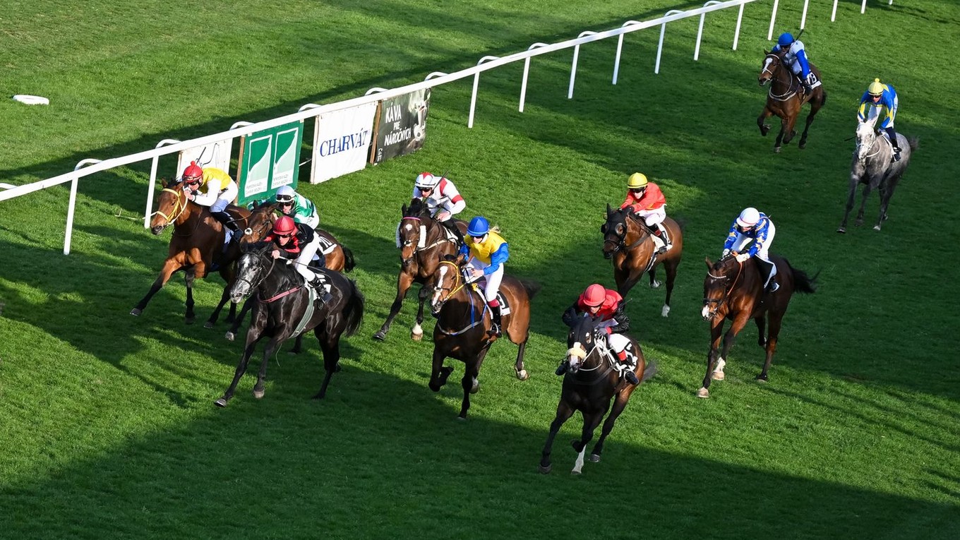 Dostihy na Závodisku v Bratislave (ilustračný záber)