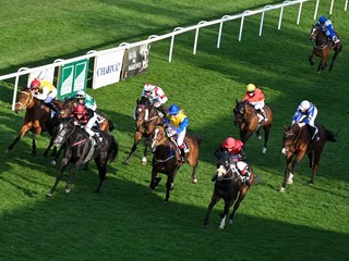 Dostihy na Závodisku v Bratislave (ilustračný záber)