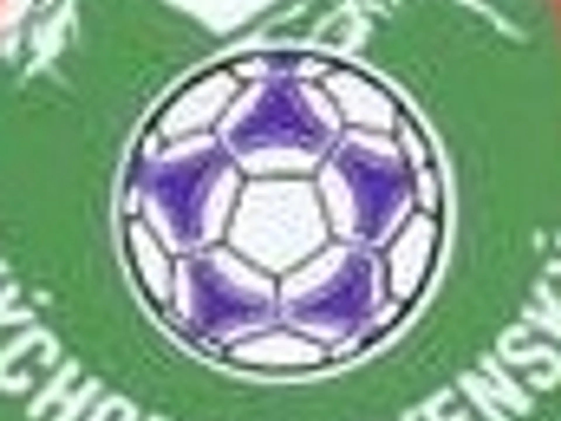 Uznesenie RK VsFZ 2/2018, 16.05.2018