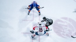 Dalibor Dvorský v drese Springfield Thunderbirds.