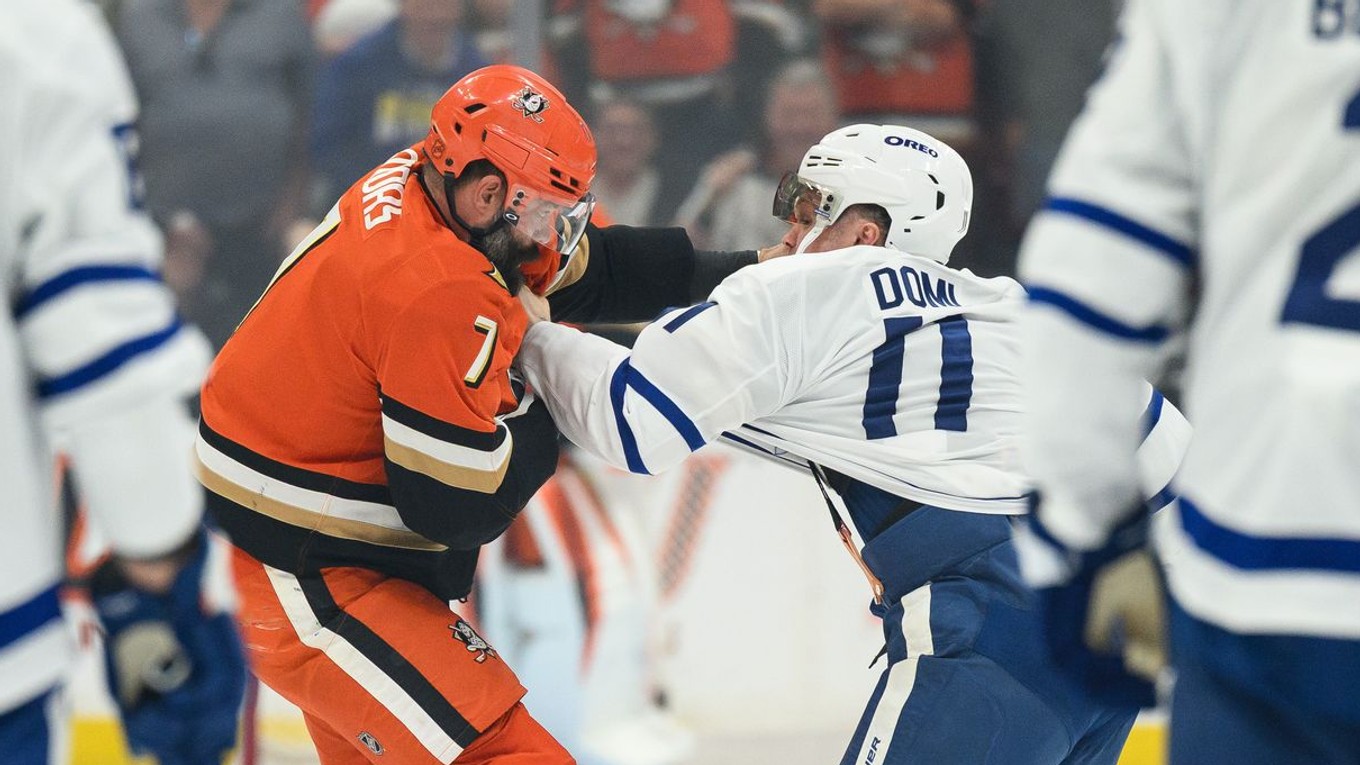 Radko Gudas a Max Domi v pästnom súboji.