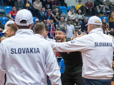 Slovenský tenista Igor Zelenay sa teší po výhre nad Srbskom. 