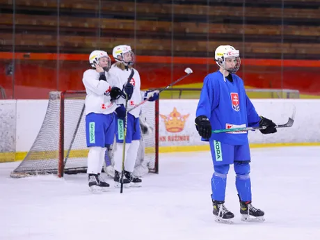 Slovenské hokejisti sa pripravujú na MS žien B-skupiny I. divízie. 