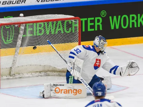 Dávid Hrenák (Slovensko) dostáva gól počas prípravného hokejového zápasu Nemecko - Slovensko.