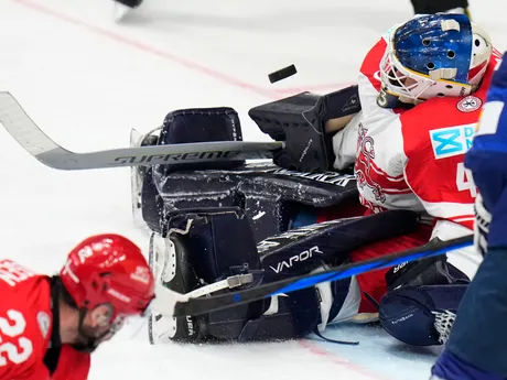 Dánsky brankár Mathias Seldrup v zápase Fínsko - Dánsko na MS v hokeji 2024.