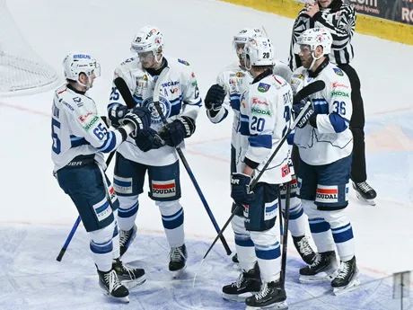 Na snímke radosť hráčov Nitry po góle v zápase 17. kola Tipos extraligy HK Nitra - HC Nové Zámky.