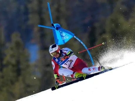 Stefan Brennsteiner počas prvého kola obrovského slalomu v americkom stredisku Sun Valley.