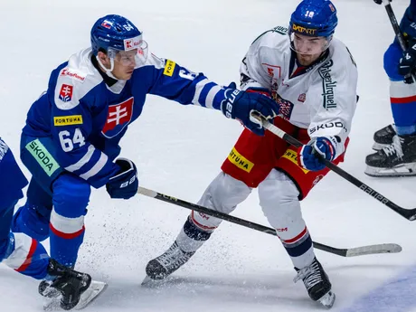 Na snímke zľava Patrik Koch (Slovensko) a Filip Zadina (Česko) počas prípravného zápasu Česká republika - Slovensko.