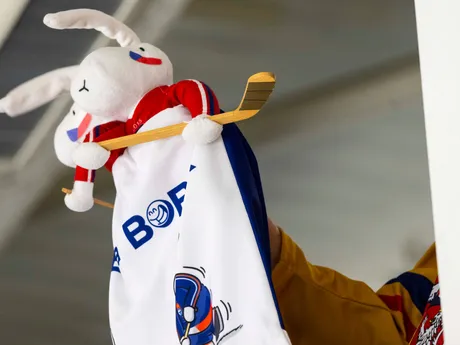 Na snímke maskot českého fanúšika počas prípravného zápasu Česká republika - Slovensko.