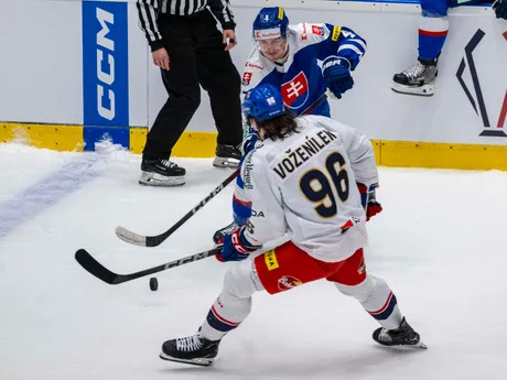 Na snímke hore Dávid Mudrák (Slovensko) a Daniel Voženílek (Česko) počas prípravného zápasu Česká republika - Slovensko.