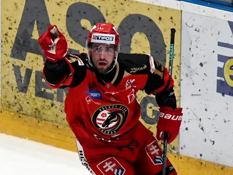 Hokejisti HC Prešov vo finále play-off Slovenskej hokejovej ligy (SHL).