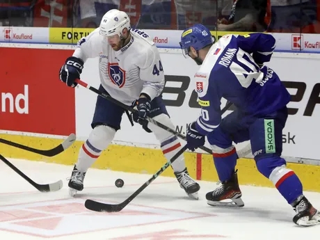 zľava Kevin Spinozzi (Francúzsko) a Miloš Roman (Slovensko) bojujú o puk 