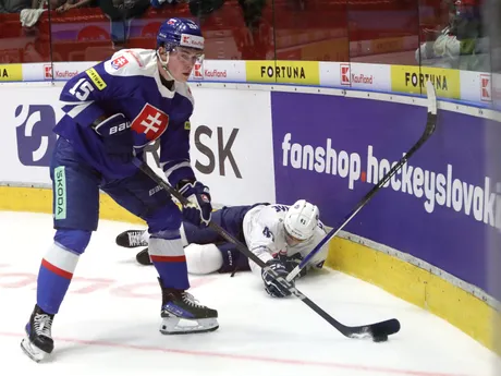 zľava Dalibor Dvorský (Slovensko) a Pierre Bellemare (Francúzsko) bojujú o puk 