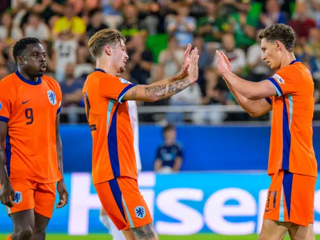 holandskí futbalisti sa tešia z gólu počas zápasu základnej D-skupiny Holandsko - Dánsko